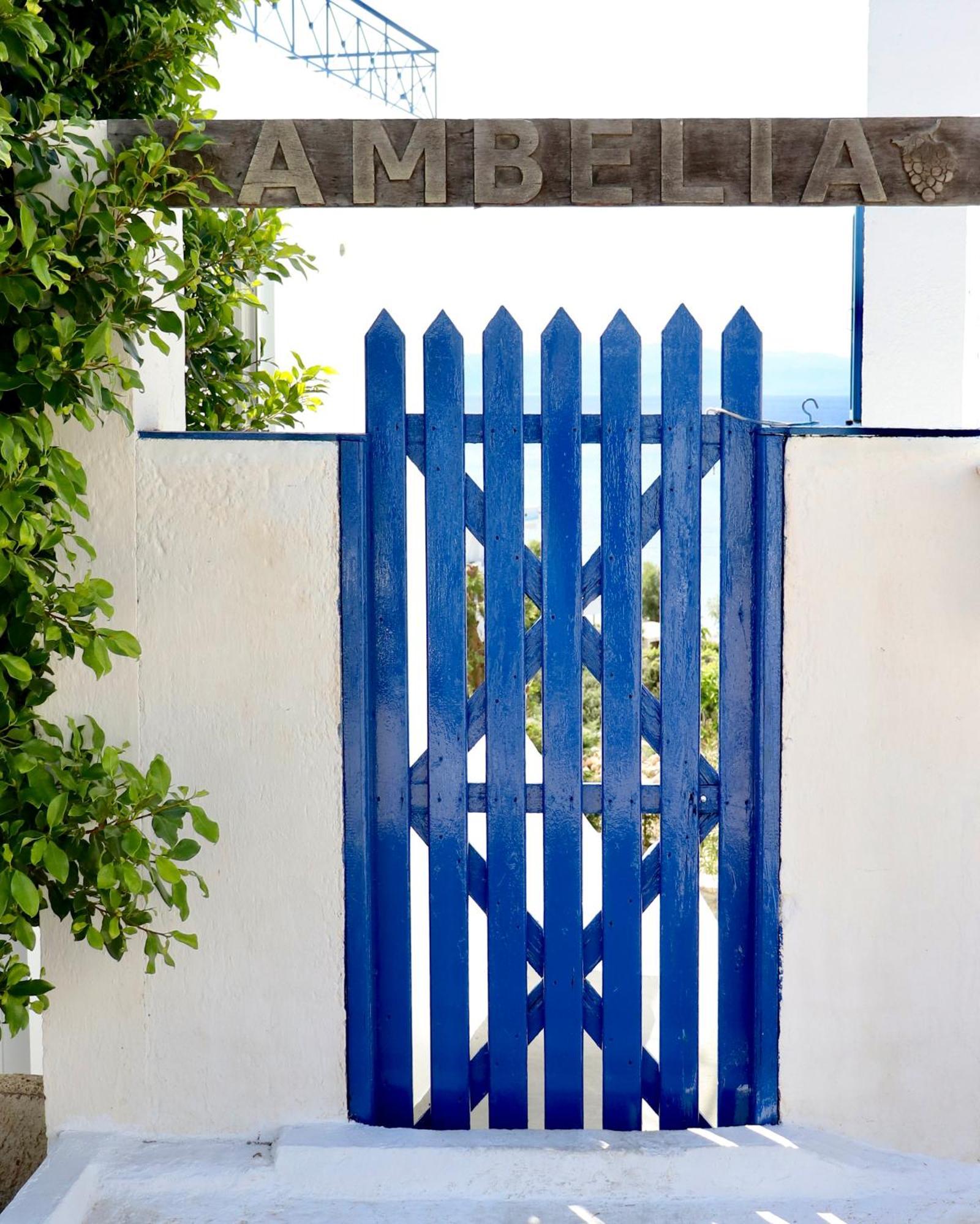 2 Ambelia Paradise Daire Megalochori  Dış mekan fotoğraf